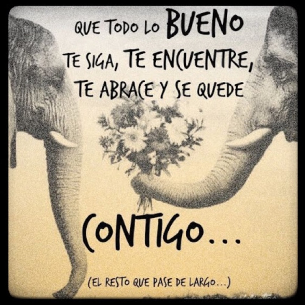 Meet your Posher, Laryssa